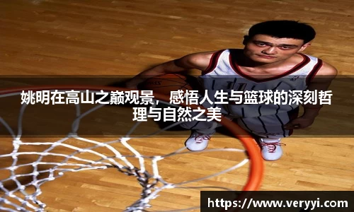 姚明在高山之巅观景，感悟人生与篮球的深刻哲理与自然之美